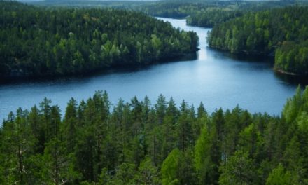 FINNLAND FEIERT / SUOMI JUHLII 05. & 06.12.2025 Hanau