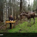 Konzert Sinikka Langeland 10.01.2026 Bad Vilbel