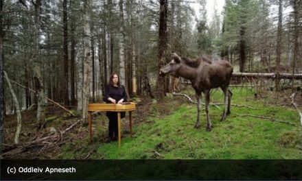 Konzert Sinikka Langeland 10.01.2026 Bad Vilbel