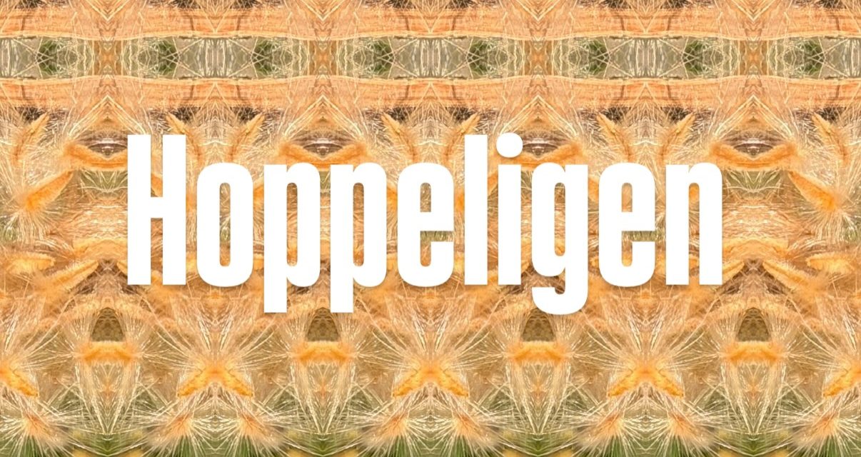 HOPPELIGEN 25.02.2026 Frankfurt